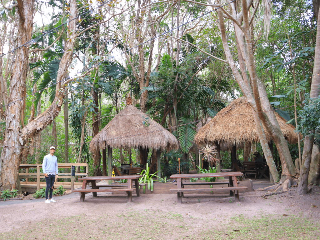 Arkarra Tea Gardens in Hervey Bay