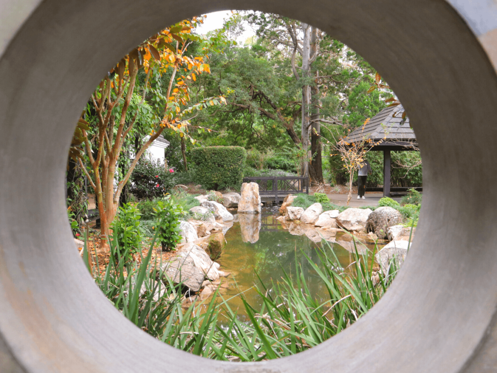 Hervey Bay Botanic Gardens in Hervey Bay