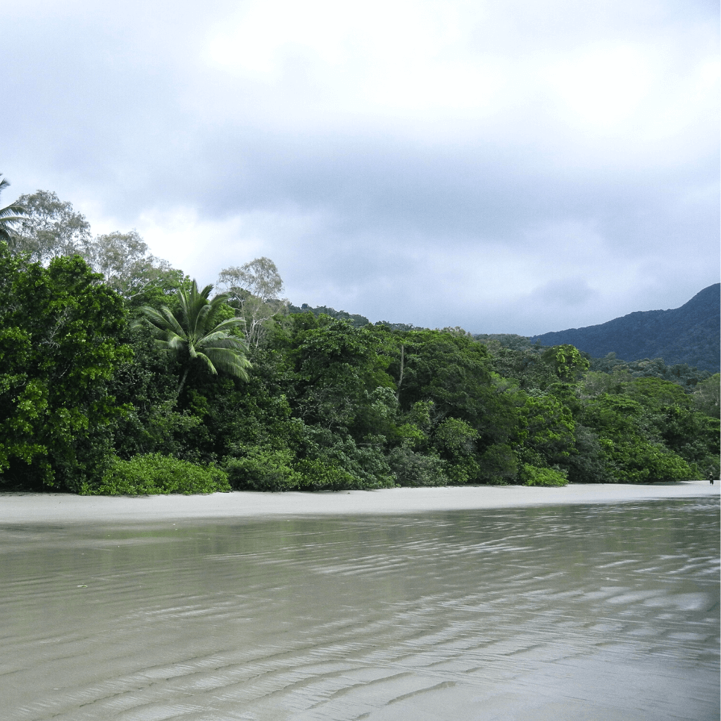 Daintree en Cape Tribulation afbeelding voor oostkust pagina