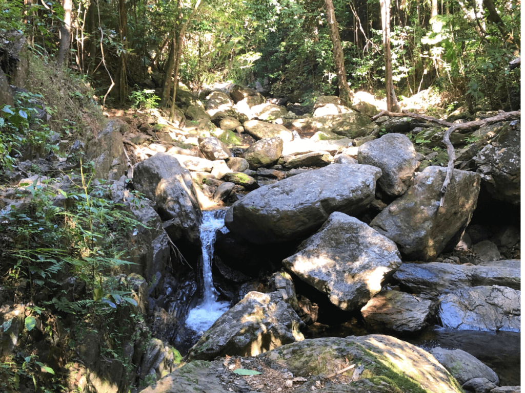 Fairy Falls in Cairns