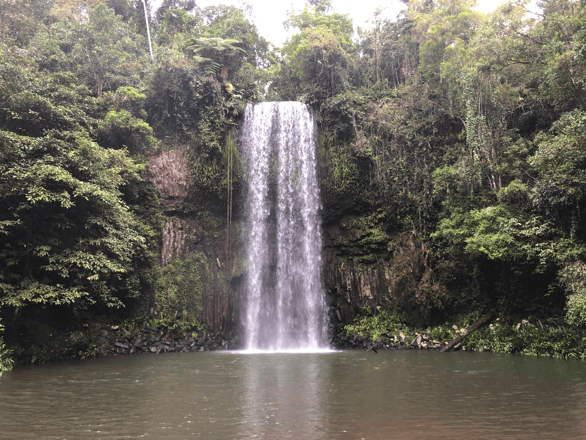 Millaa Millaa Waterfall in Atherton Tablelands