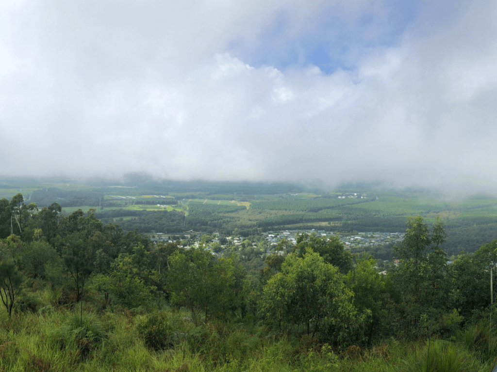 Mount Beerburrum Walking Track in Glass House Mountains