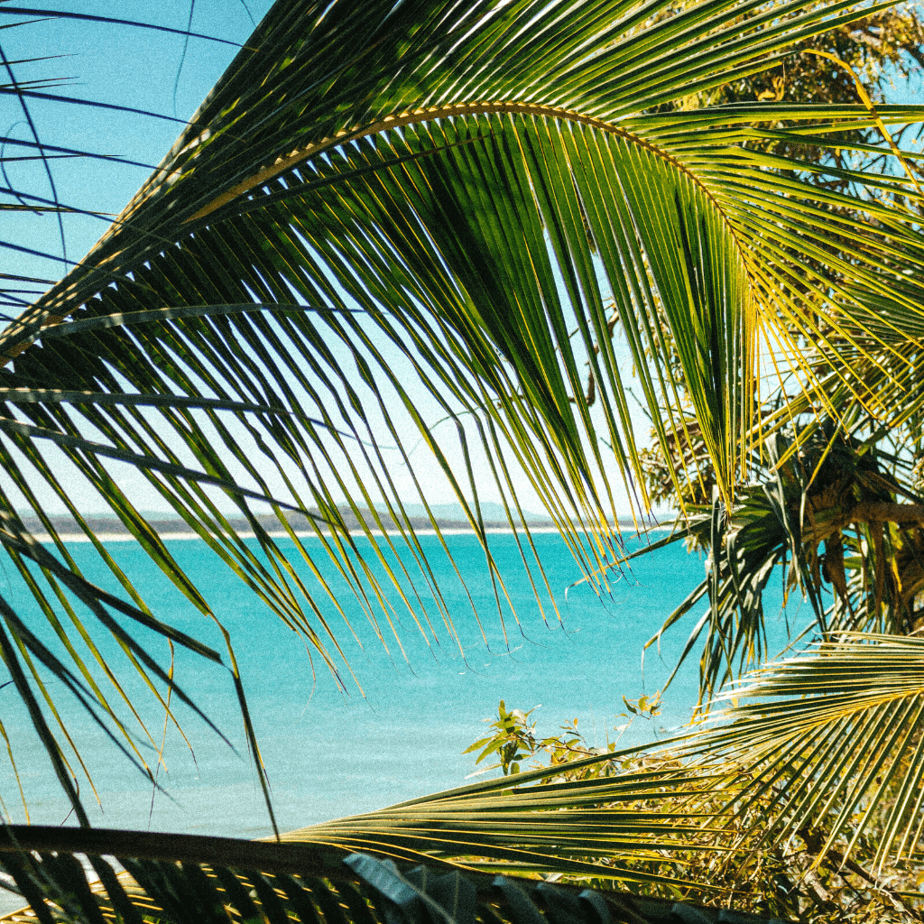 Noosa afbeelding voor oostkust pagina