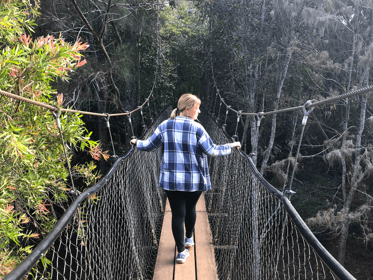 Yungaburra platypus uitzichtpunt