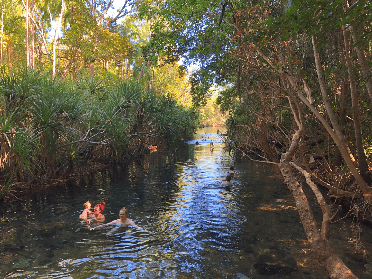 Berry Springs Waterhole in Litchfield National Park