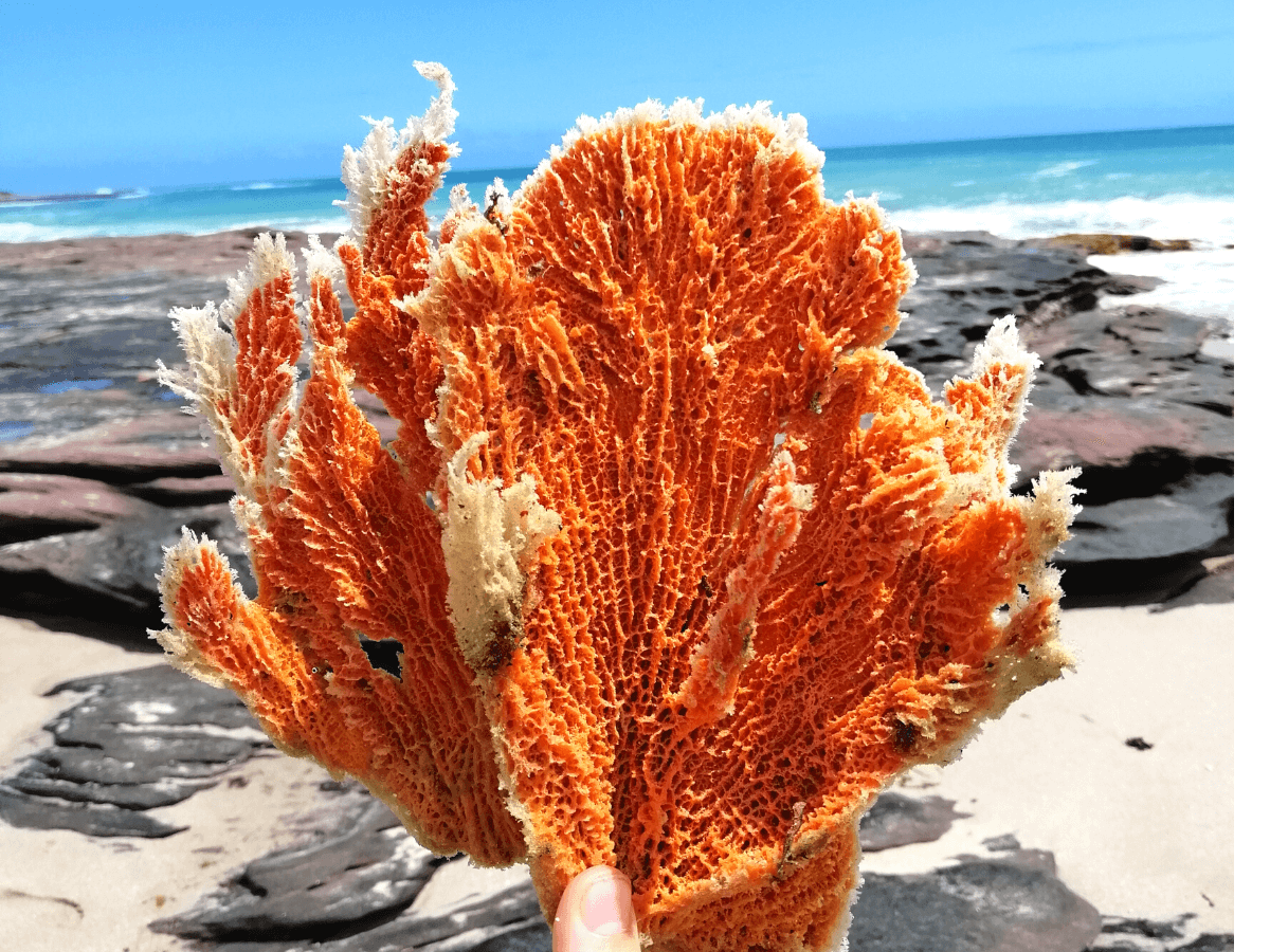 Chinaman’s Beach Kalbarri