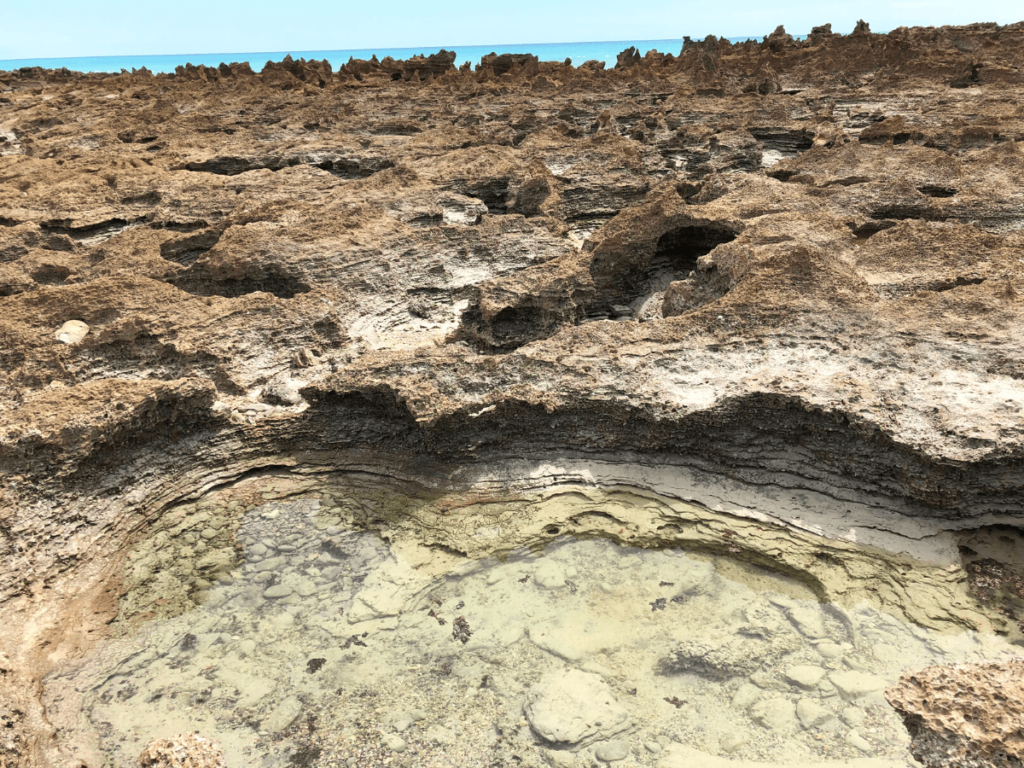 Coconut Wells in Broome