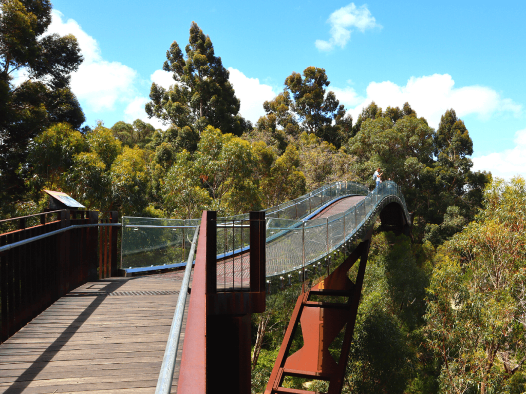 Kings park en Botanic Garden in Perth