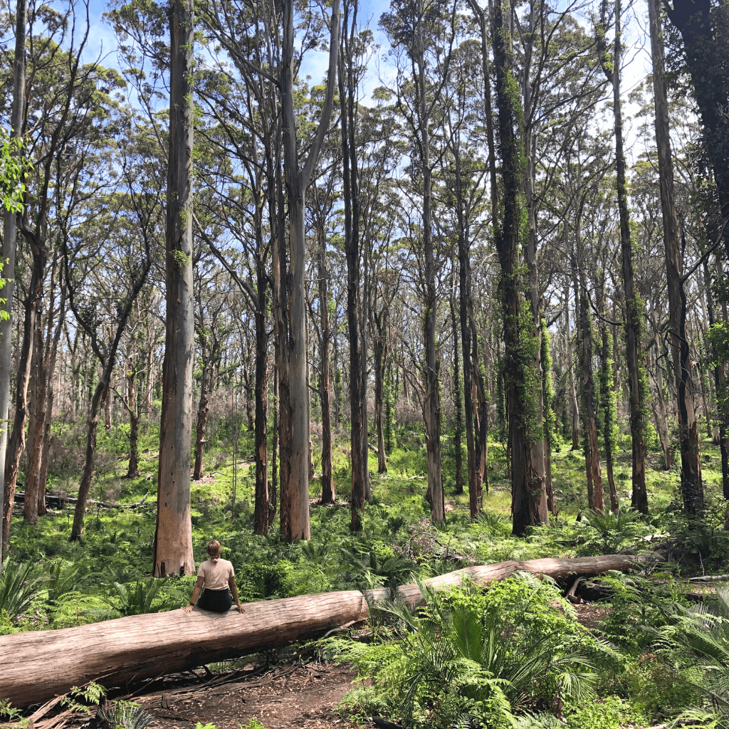 Margaret River afbeelding voor westkust pagina