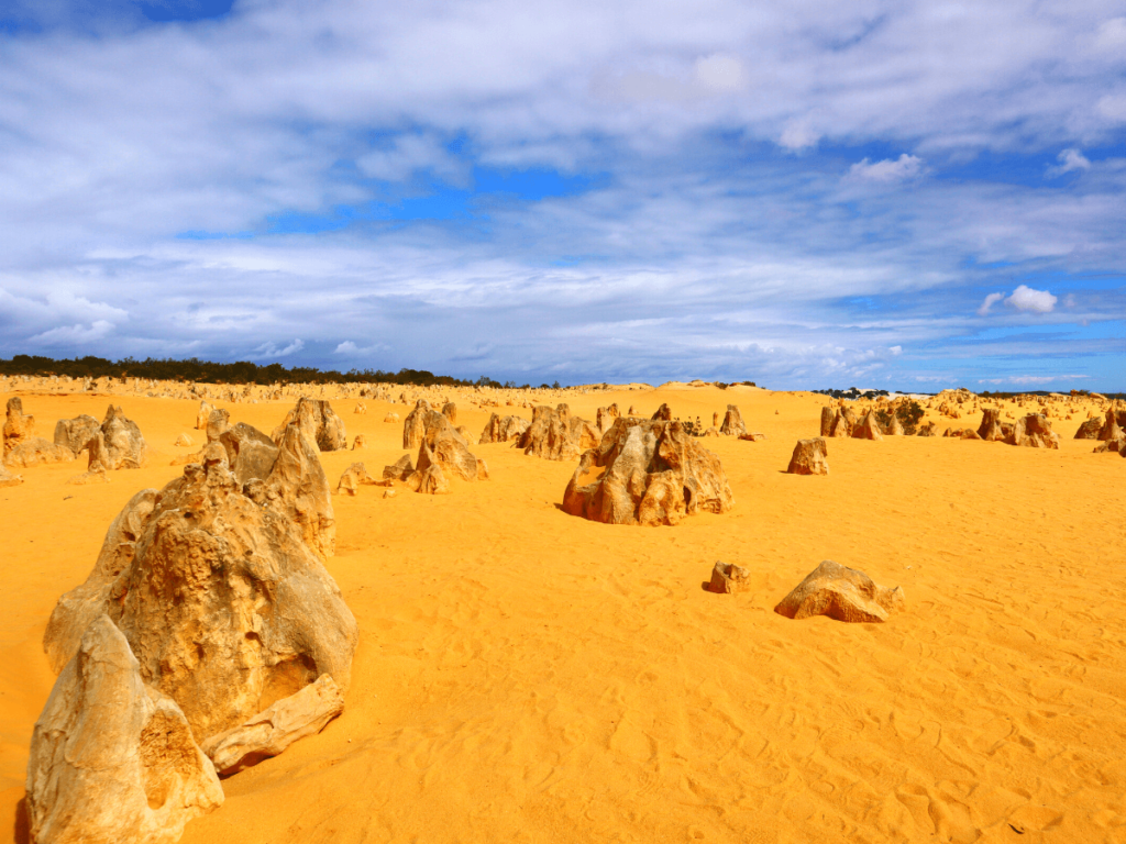 The Pinnacles Desert in Nambung National Park