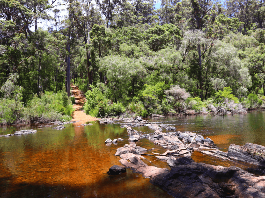 Zwemplek Heartbreak Trail in Warren River National Park