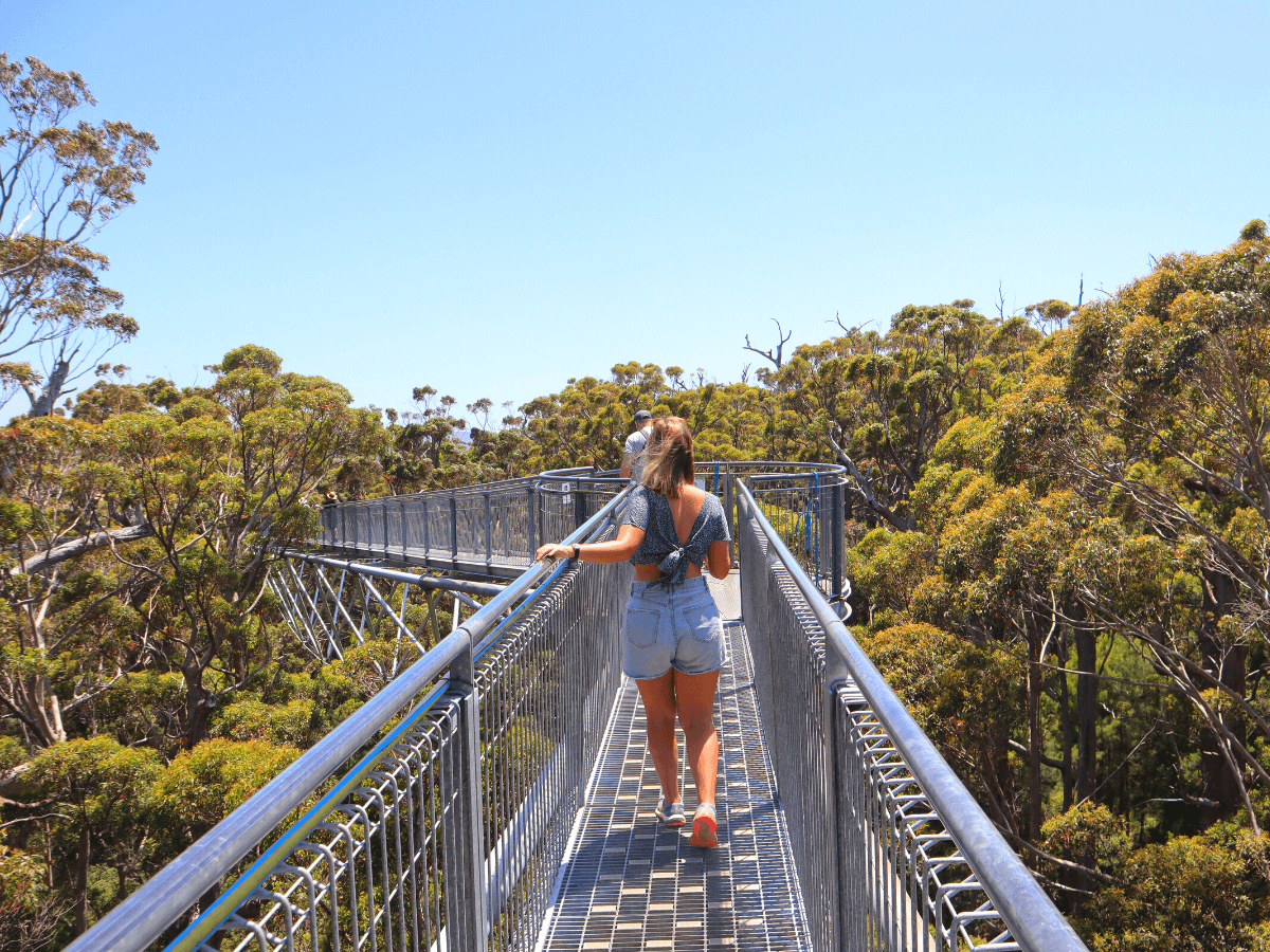 valley of giants tree top walk in tingledale australie