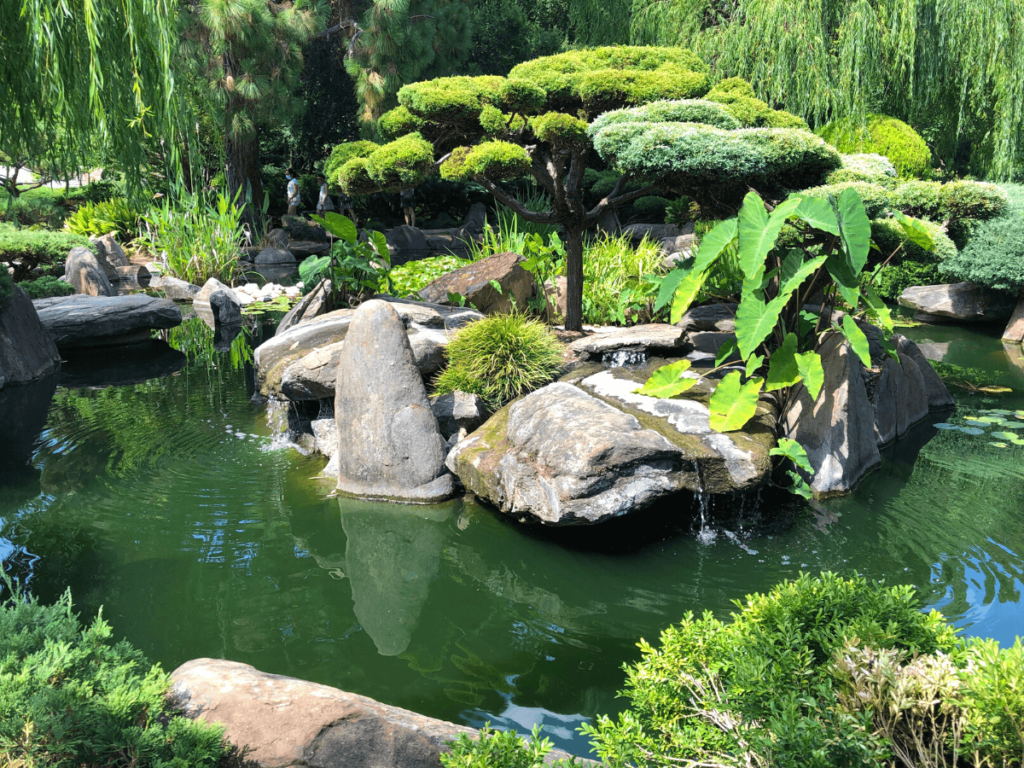 Himeji Garden in Adelaide