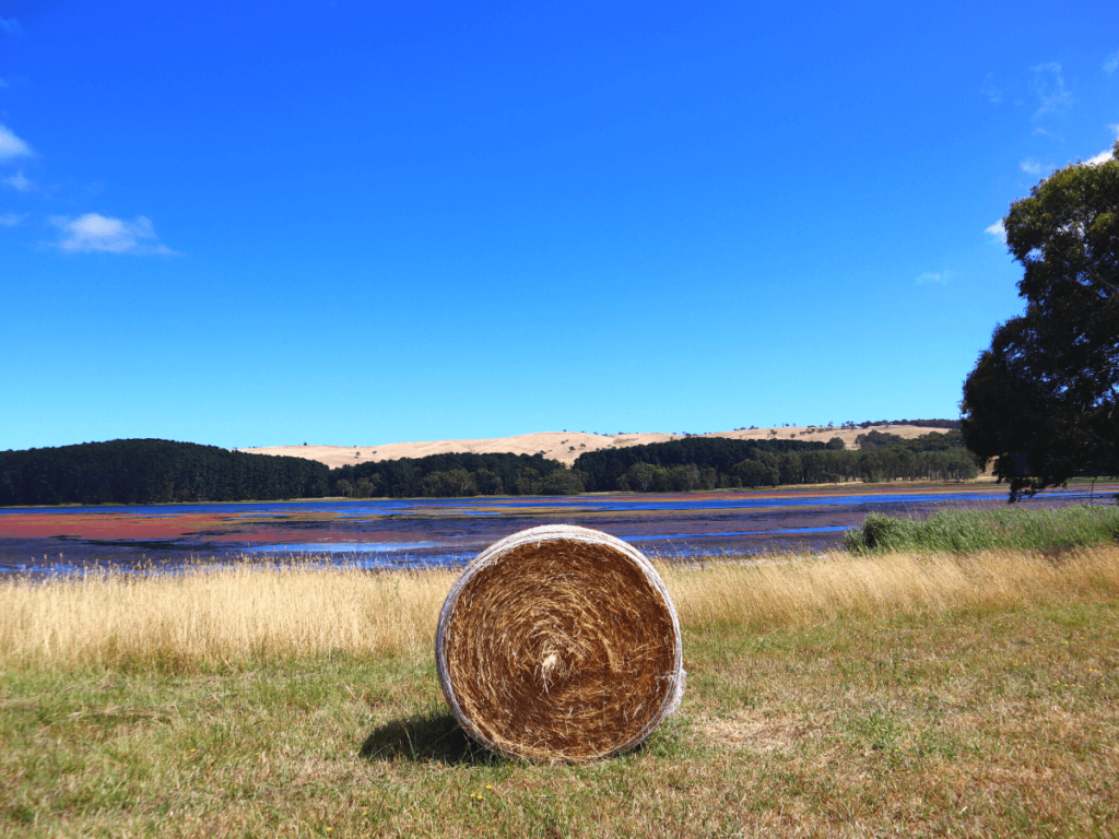 Myponga Reservoir Trail in omgeving Adelaide