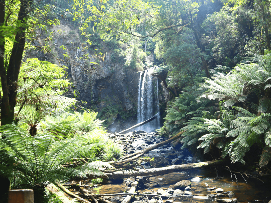 hopetoun falles in otway national park op de great ocean road aan de zuidkust australie