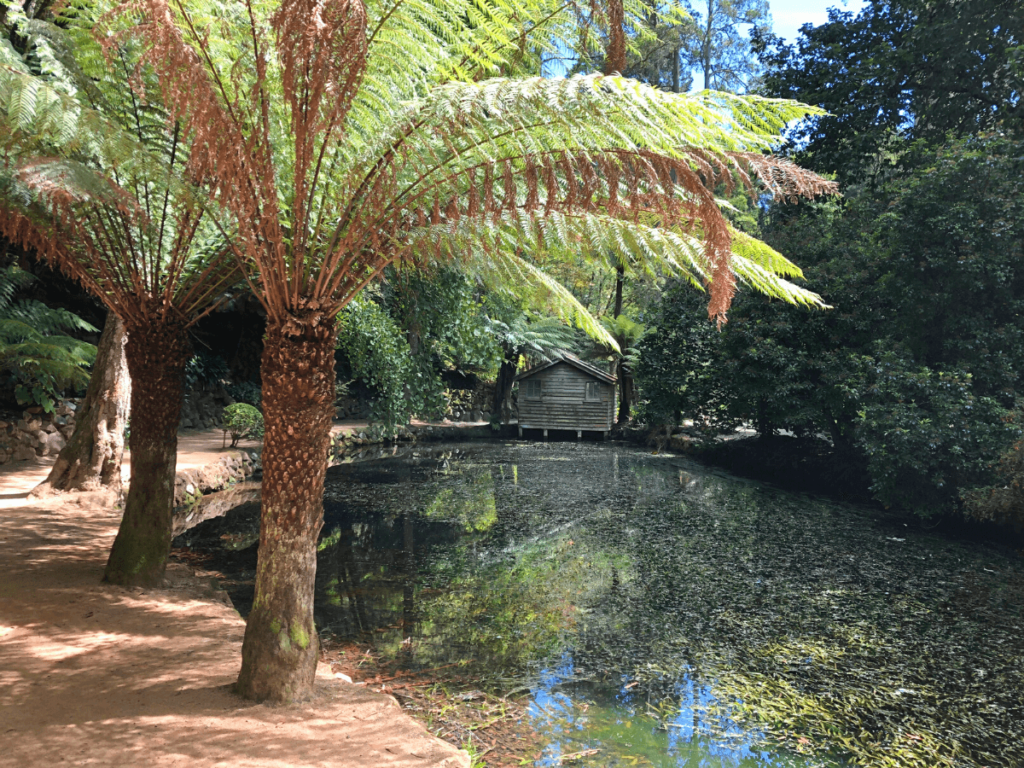 boathouse bij meer in alfred nicholas gardens in dandenong ranges national park in melbourne