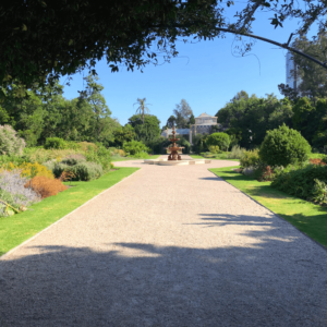 botanische tuin in adelaide zuid australie