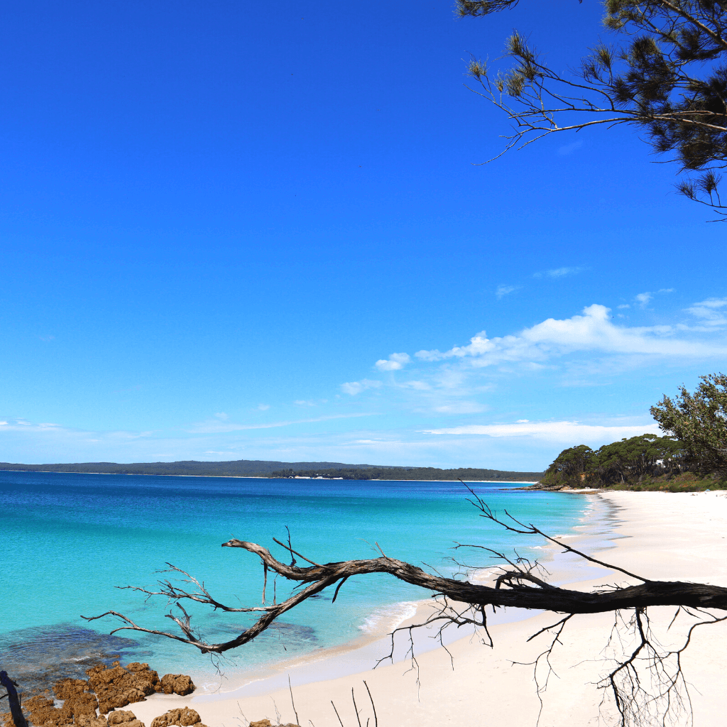 Chinamans beach wit strand helderblauw water in jervis bay aan de oostkust van australie tussen sydney en melbourne