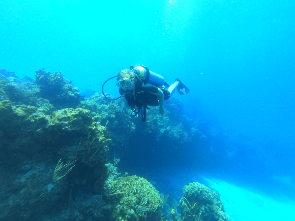 Duiken bij Cozumel met koraal vanaf Playa del Carmen in quintana roo Mexico