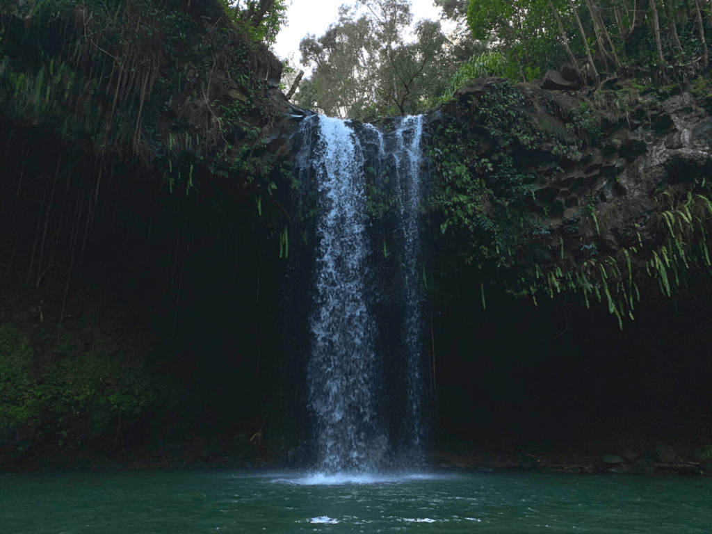 Twin falls tijdens de Pipiwai trail op de Road to Hana op Maui in Hawaï