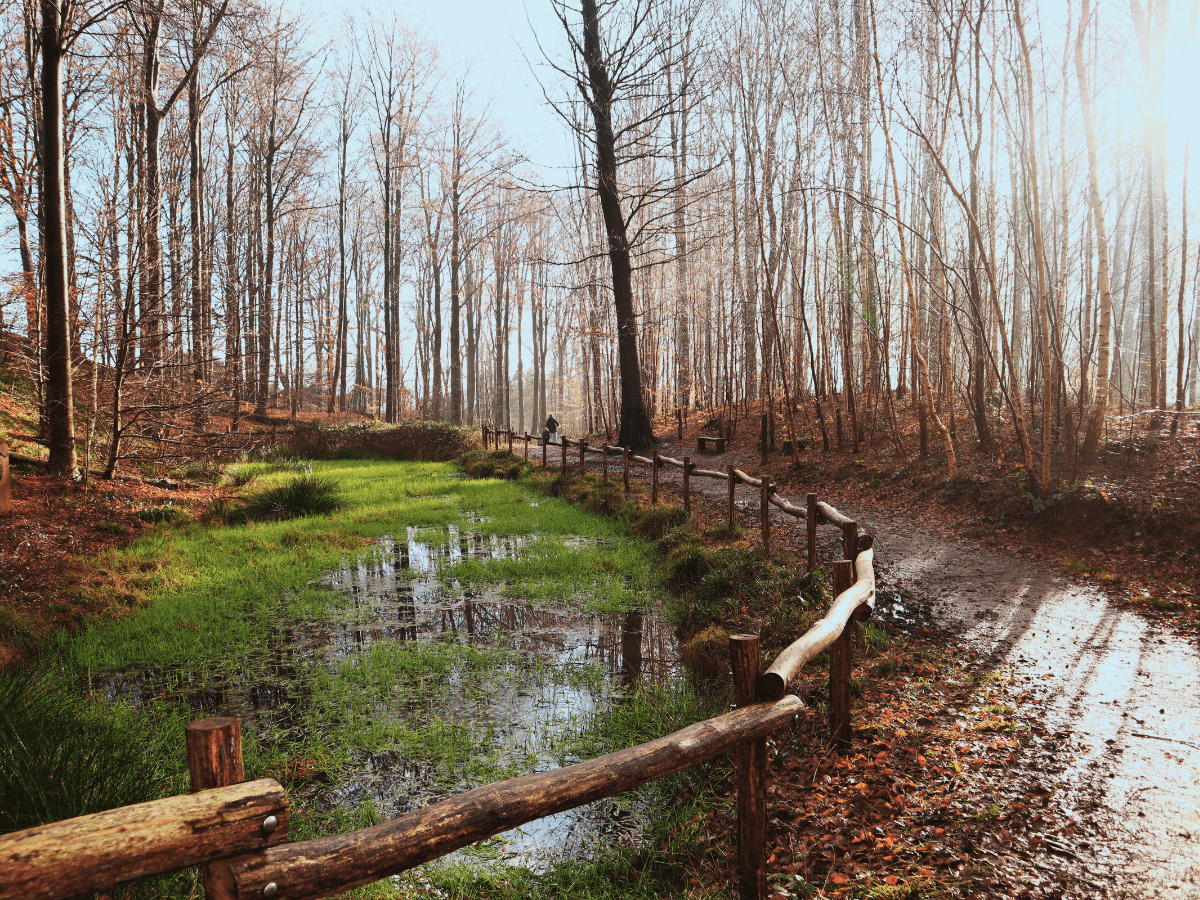 Wandelen in de buurt van Ronse in de Vlaamse Ardennen tijdens een stedentrip in Gent, België